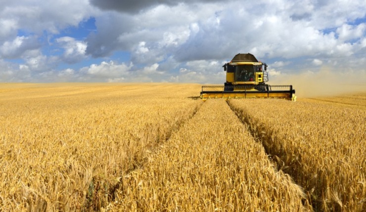 Noleggio riscaldatori in emergenza per un’azienda agricola