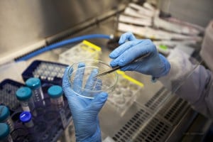 Laboratorio di cellule staminali richiede del riscaldamento